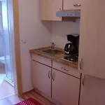 هوديتز * زيل أم زيلر